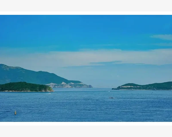 我国预算会计体系构成与运行机制